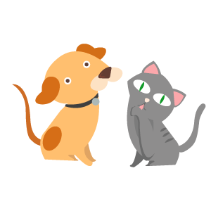 Mascotas: perro y gato